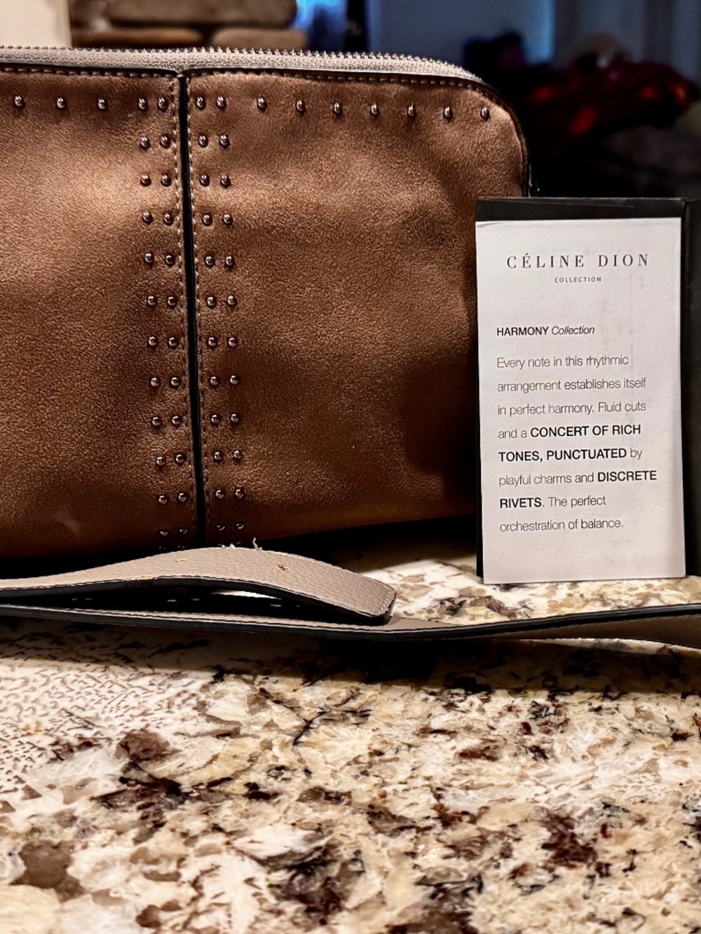 Céline Dion Harmony Collection Studded Crossbody Bag – Taupe